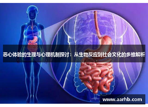 恶心体验的生理与心理机制探讨：从生物反应到社会文化的多维解析